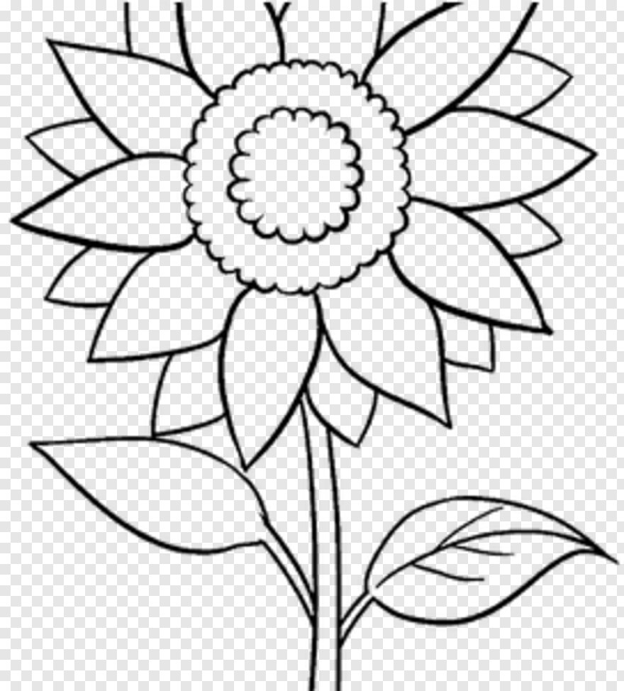 Detail Gambar Bunga Matahari Tanpa Warna Nomer 41