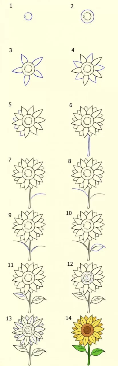 Detail Gambar Bunga Matahari Tanpa Warna Nomer 45