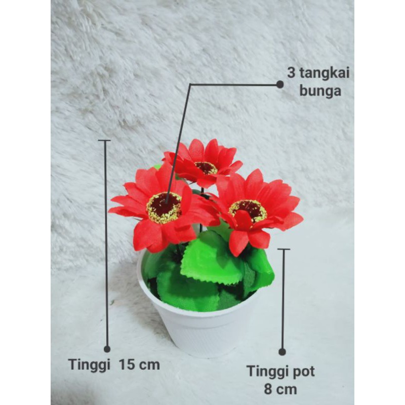 Detail Gambar Bunga Matahari Termasuk Gambar Nomer 39