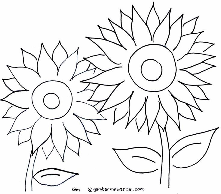 Detail Gambar Bunga Matahari Untuk Diwarnai Nomer 29