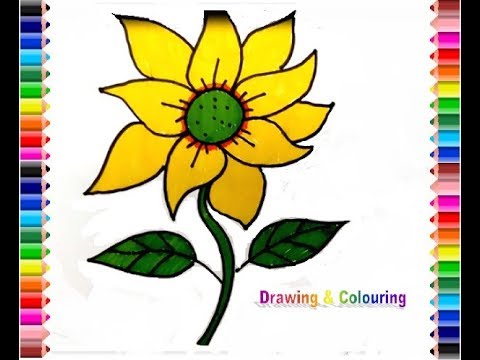 Detail Gambar Bunga Matahari Warna Nomer 2