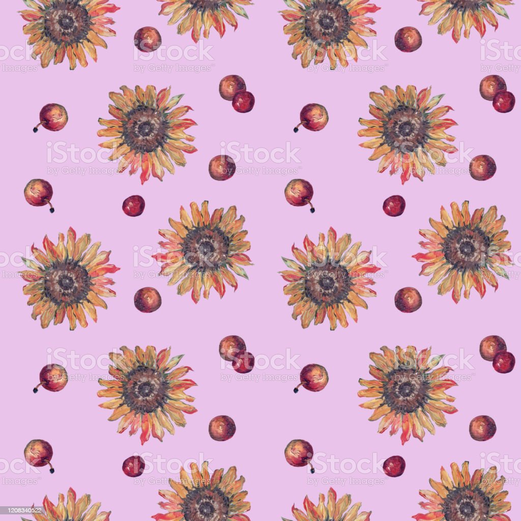 Detail Gambar Bunga Matahari Warna Pink Nomer 32