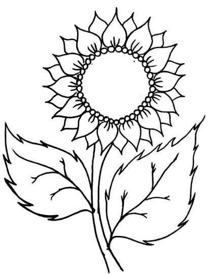 Detail Gambar Bunga Matahari Yang Belum Di Warnai Nomer 9