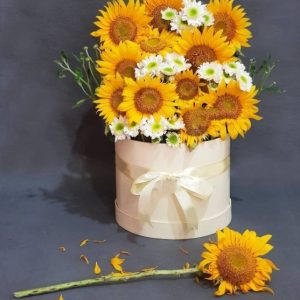 Detail Gambar Bunga Matahari Yang Cantik Nomer 51