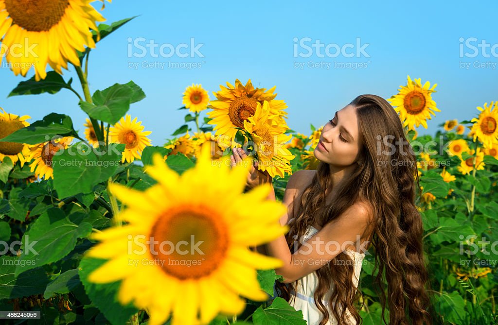 Detail Gambar Bunga Matahari Yang Cantik Nomer 52