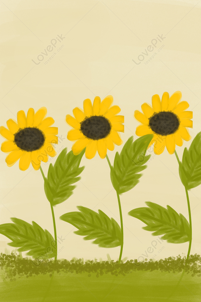 Detail Gambar Bunga Matahari Yang Mudah Digambar Nomer 38