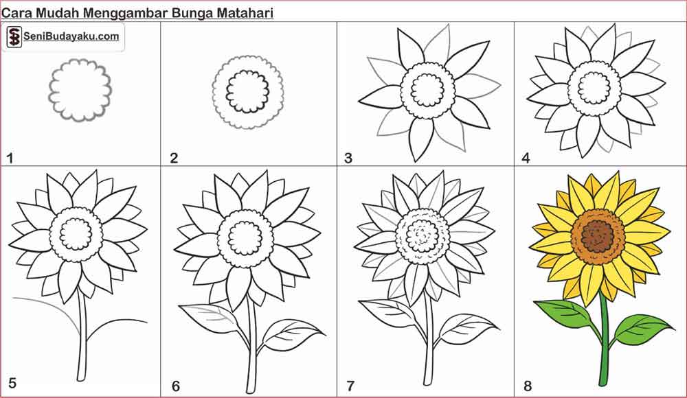 Detail Gambar Bunga Matahari Yang Mudah Digambar Nomer 7