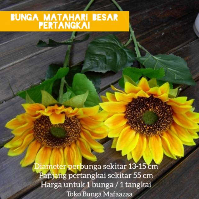 Detail Gambar Bunga Matahari Yang Tinginya 3 Cm Nomer 49