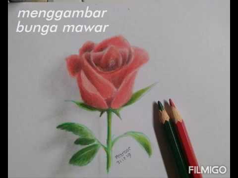 Detail Gambar Bunga Mawar 3d Pensil Nomer 32