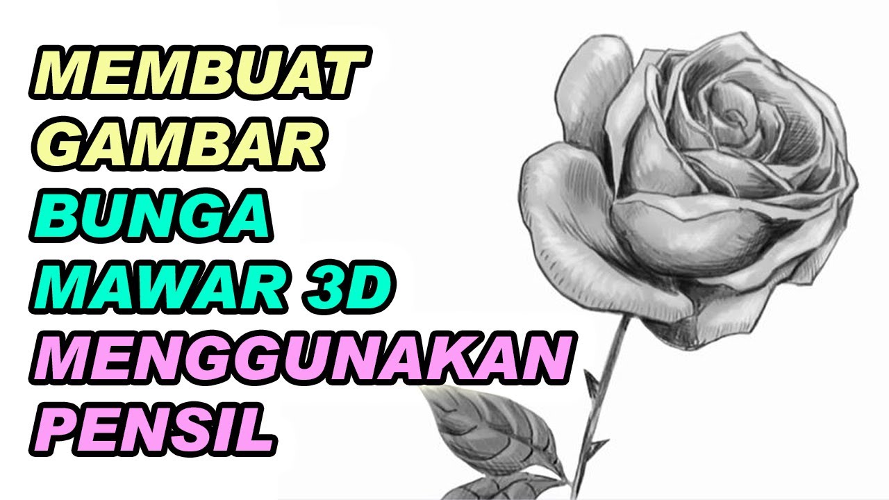 Detail Gambar Bunga Mawar 3d Pensil Nomer 5