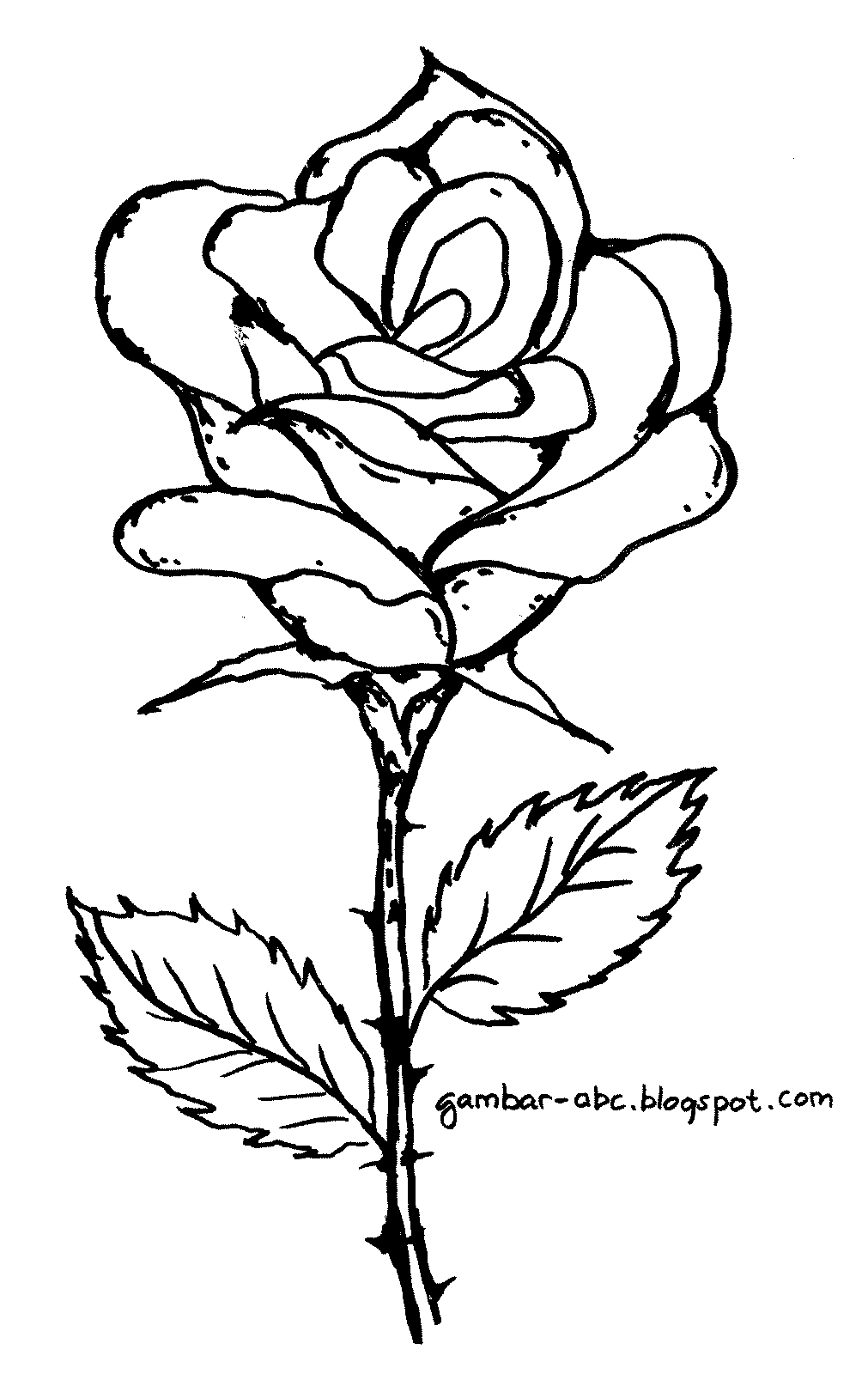 Detail Gambar Bunga Mawar Anak Tk Nomer 14