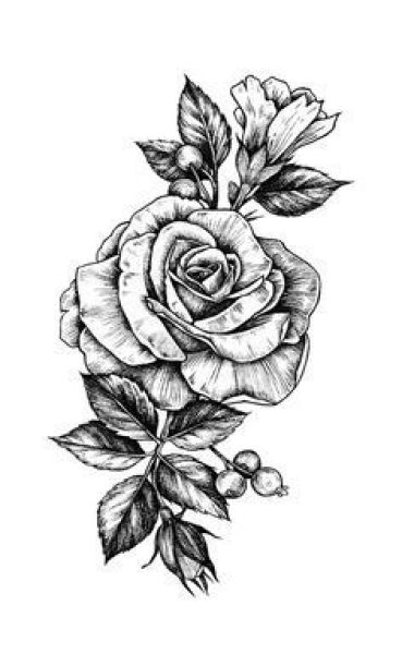 Detail Gambar Bunga Mawar Animasi Hitam Putih Nomer 18