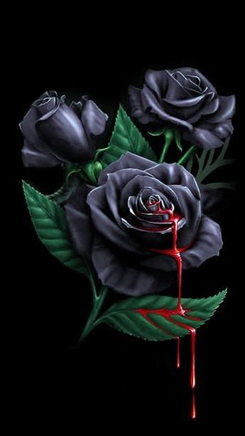 Gambar Bunga Mawar Background Hitam - KibrisPDR