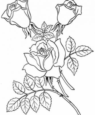 Detail Gambar Bunga Mawar Belum Diwarnai Nomer 53