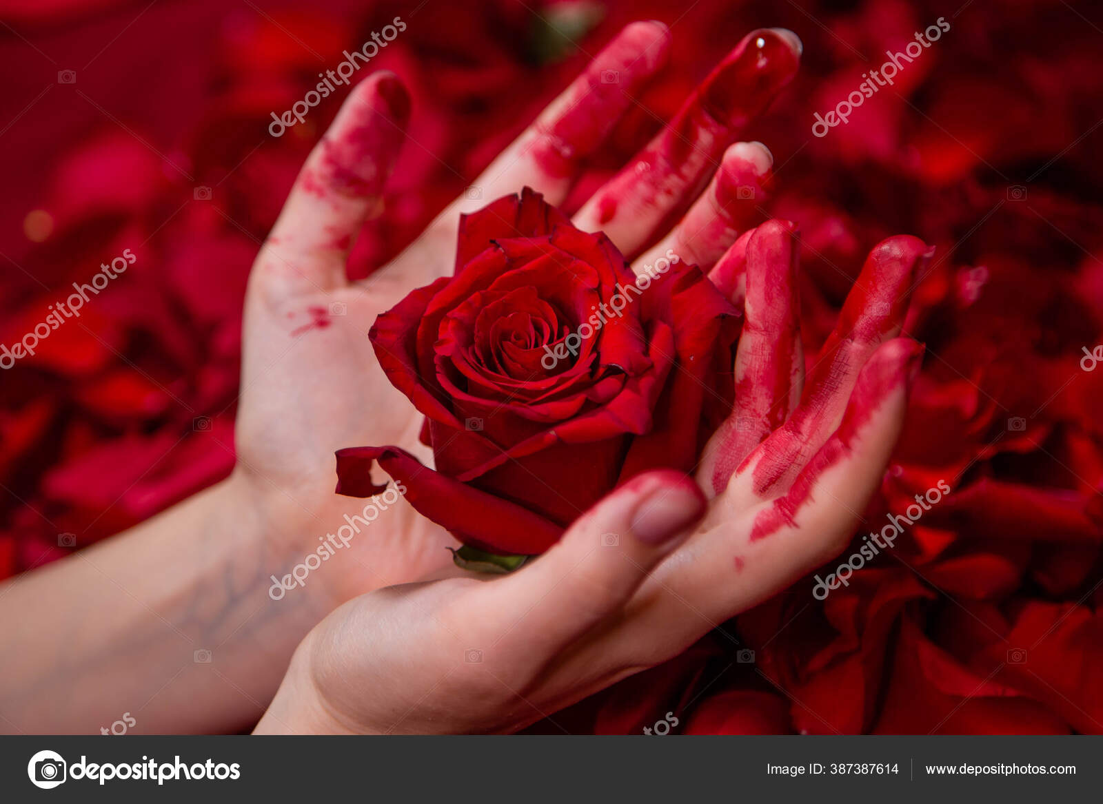 Detail Gambar Bunga Mawar Berdarah Nomer 18