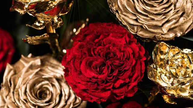 Detail Gambar Bunga Mawar Cantik Di Dunia Nomer 39