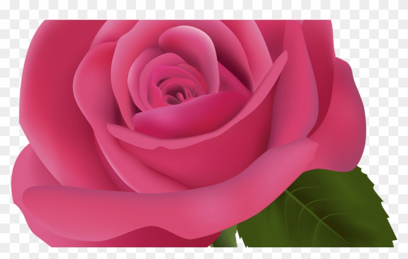Detail Gambar Bunga Mawar Clip Art Nomer 14