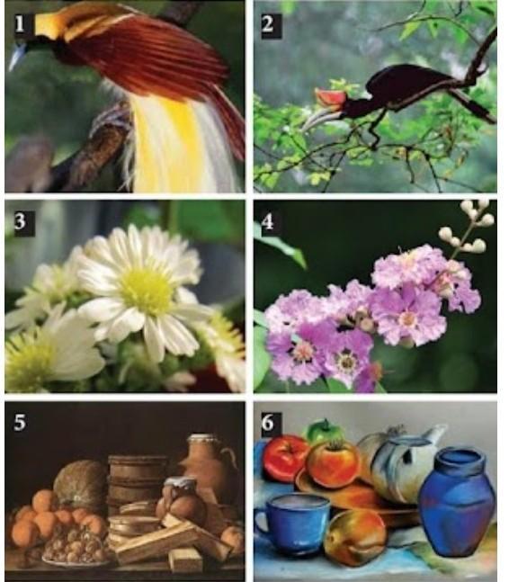 Detail Gambar Bunga Mawar Dan Bunga Melati Contoh Gambar Fauna Flora Dan Fauna Alam Benda Flora Nomer 18