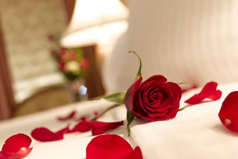 Detail Gambar Bunga Mawar Dan Kata Romantis Nomer 42