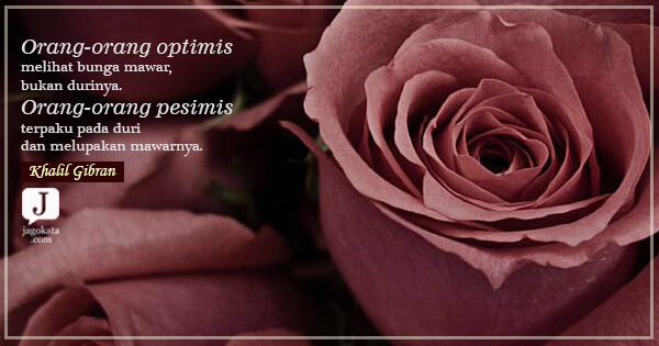 Detail Gambar Bunga Mawar Dan Kata Romantis Nomer 8