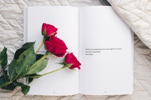Detail Gambar Bunga Mawar Dan Kata Romantis Nomer 10