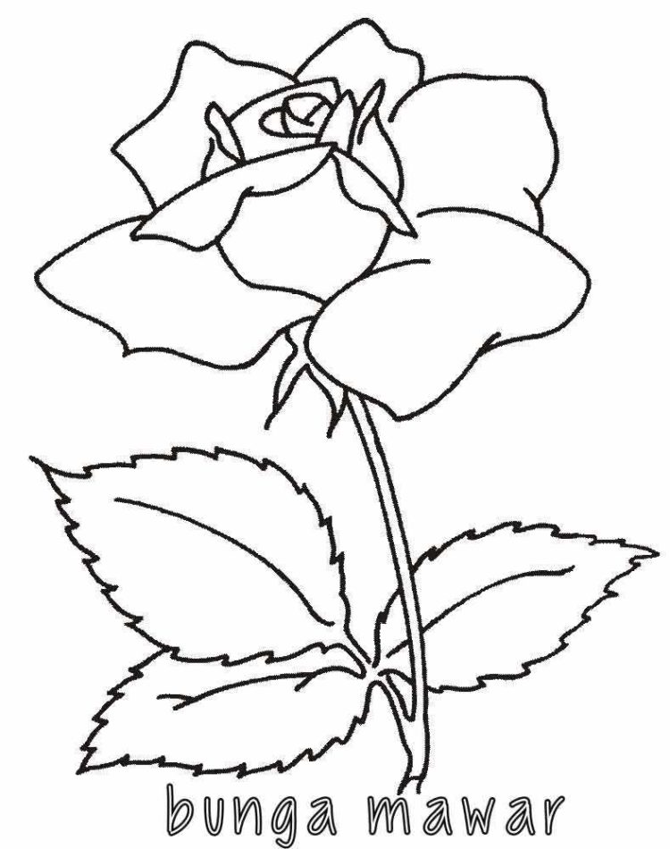 Detail Gambar Bunga Mawar Dan Melati Merupakan Contoh Gambar Nomer 42