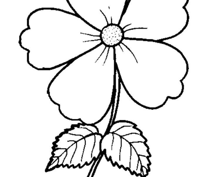 Detail Gambar Bunga Mawar Dan Potnya Nomer 33