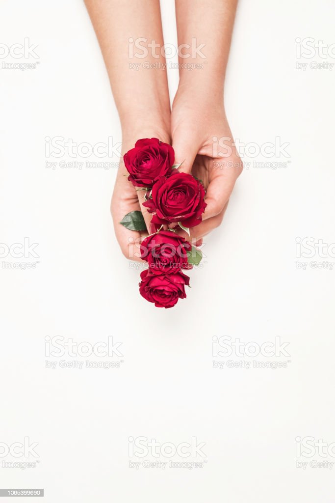 Detail Gambar Bunga Mawar Dan Tangan Nomer 19