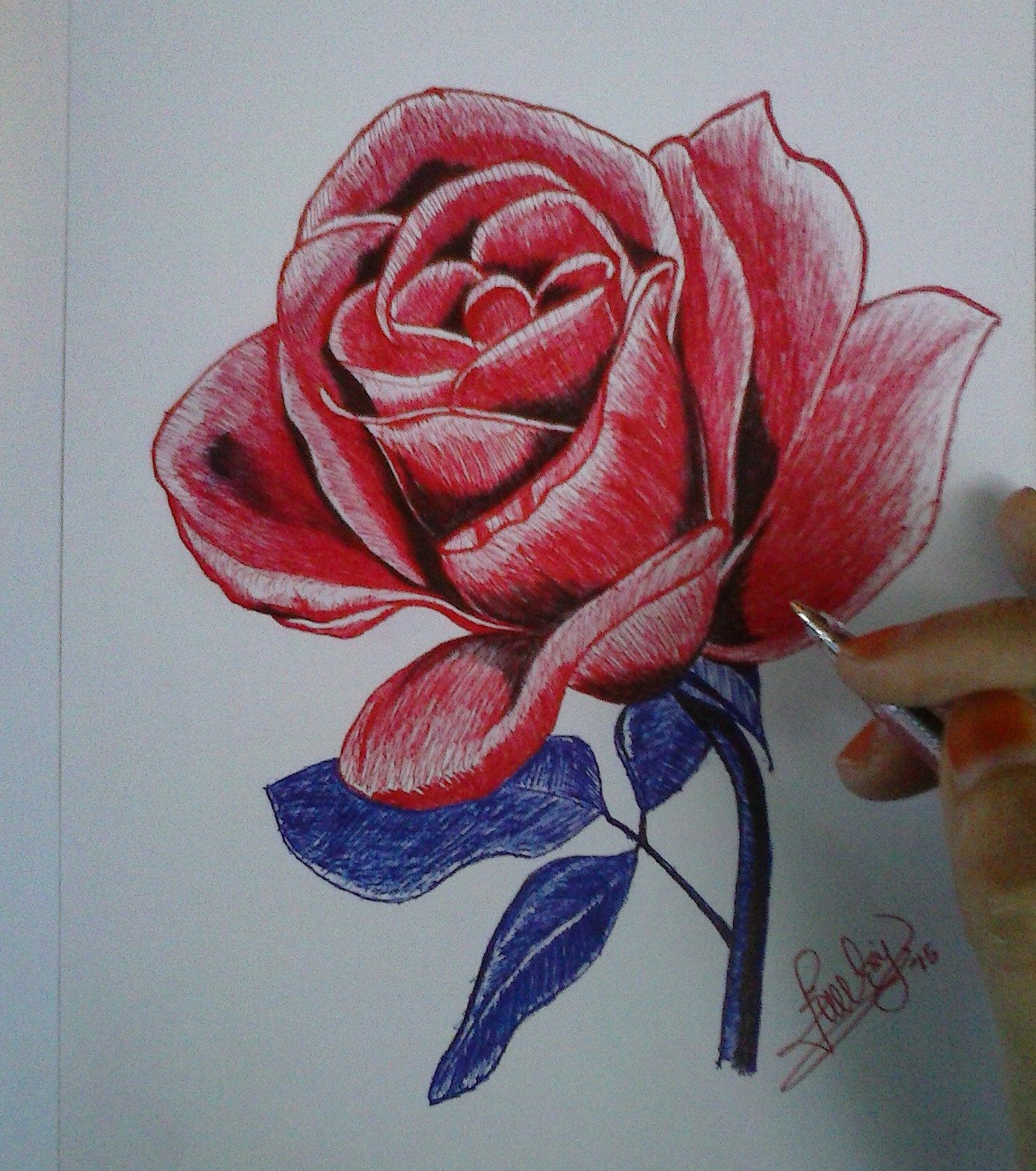 Gambar Bunga Mawar Dengan Pensil - KibrisPDR