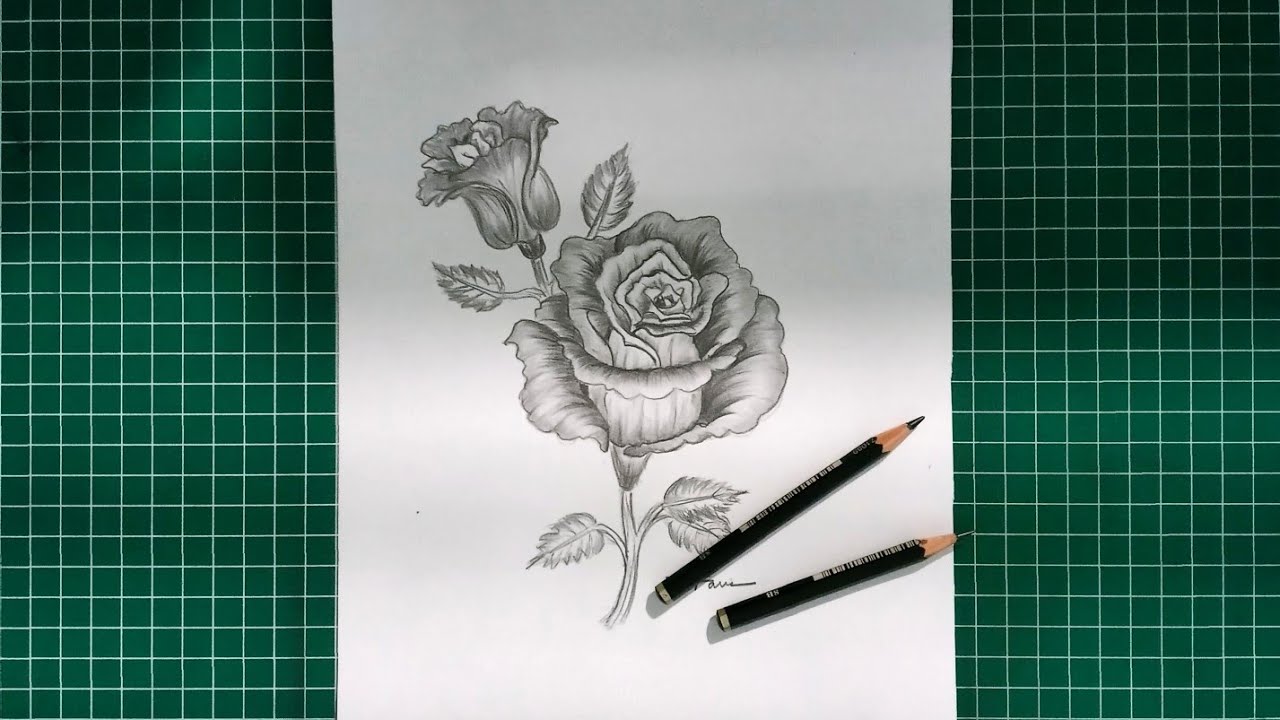 Detail Gambar Bunga Mawar Dengan Pensil Nomer 43