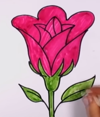 Detail Gambar Bunga Mawar Dengan Pensil Warna Nomer 20