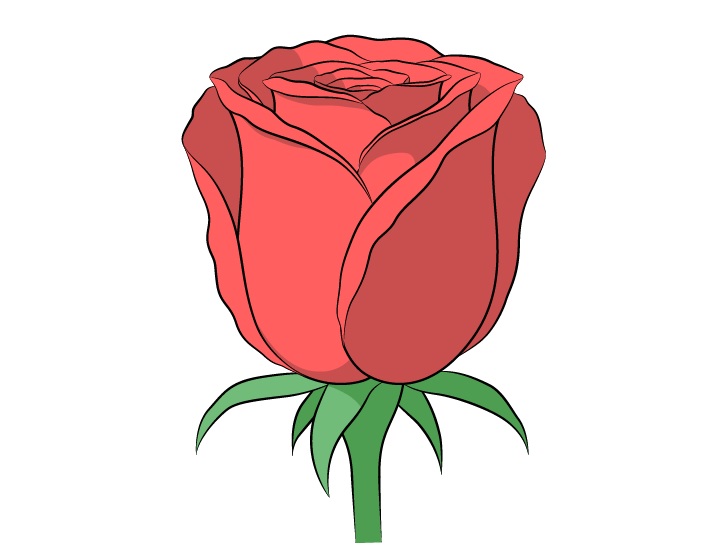 Detail Gambar Bunga Mawar Dengan Pensil Warna Nomer 25