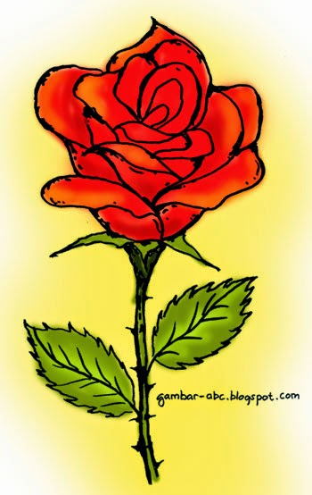 Detail Gambar Bunga Mawar Dengan Warna Nomer 23