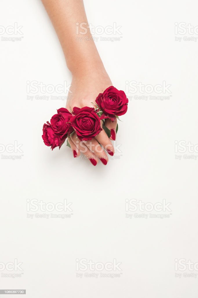 Detail Gambar Bunga Mawar Di Tangan Nomer 35