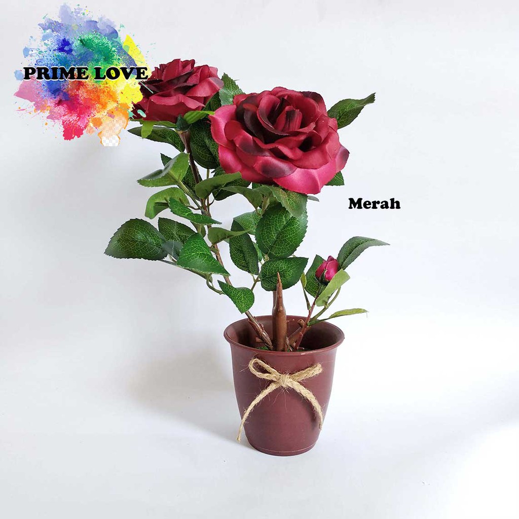 Detail Gambar Bunga Mawar Di Vas Nomer 47