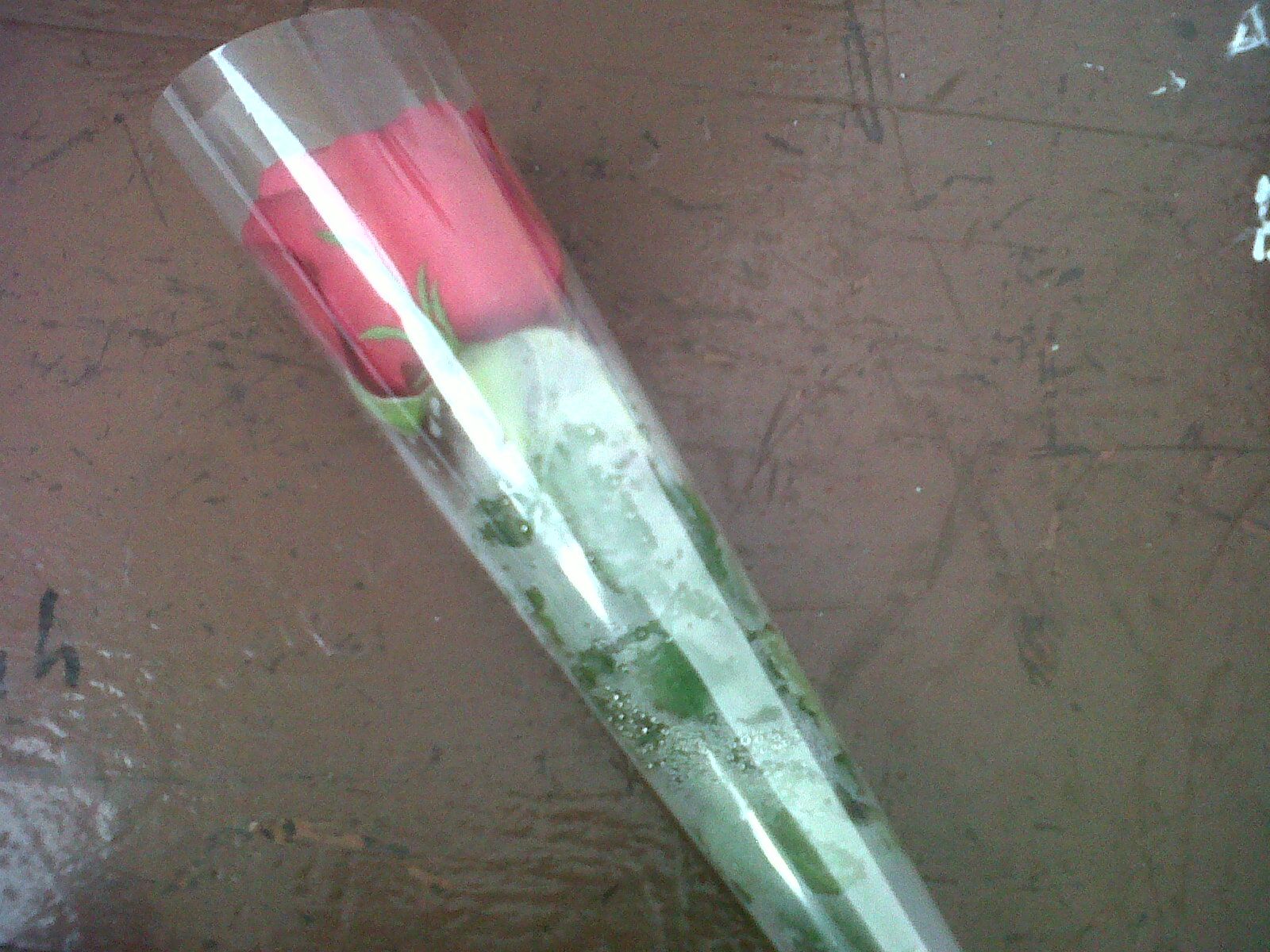 Detail Gambar Bunga Mawar Dibungkus Plastik Nomer 20
