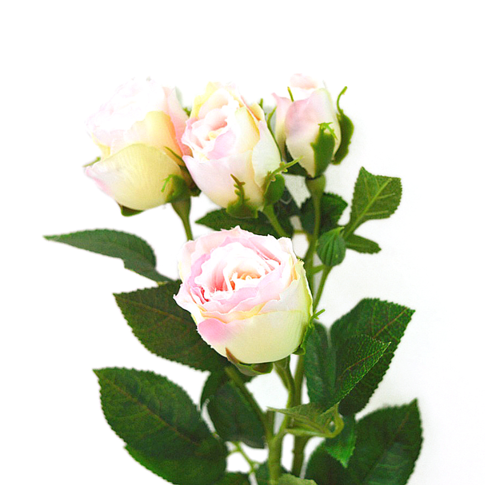 Detail Gambar Bunga Mawar Dibungkus Plastik Nomer 42