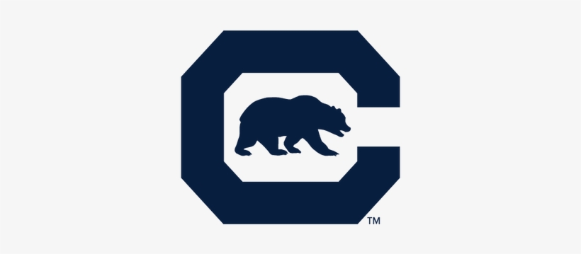 Detail Cal Logo Nomer 6