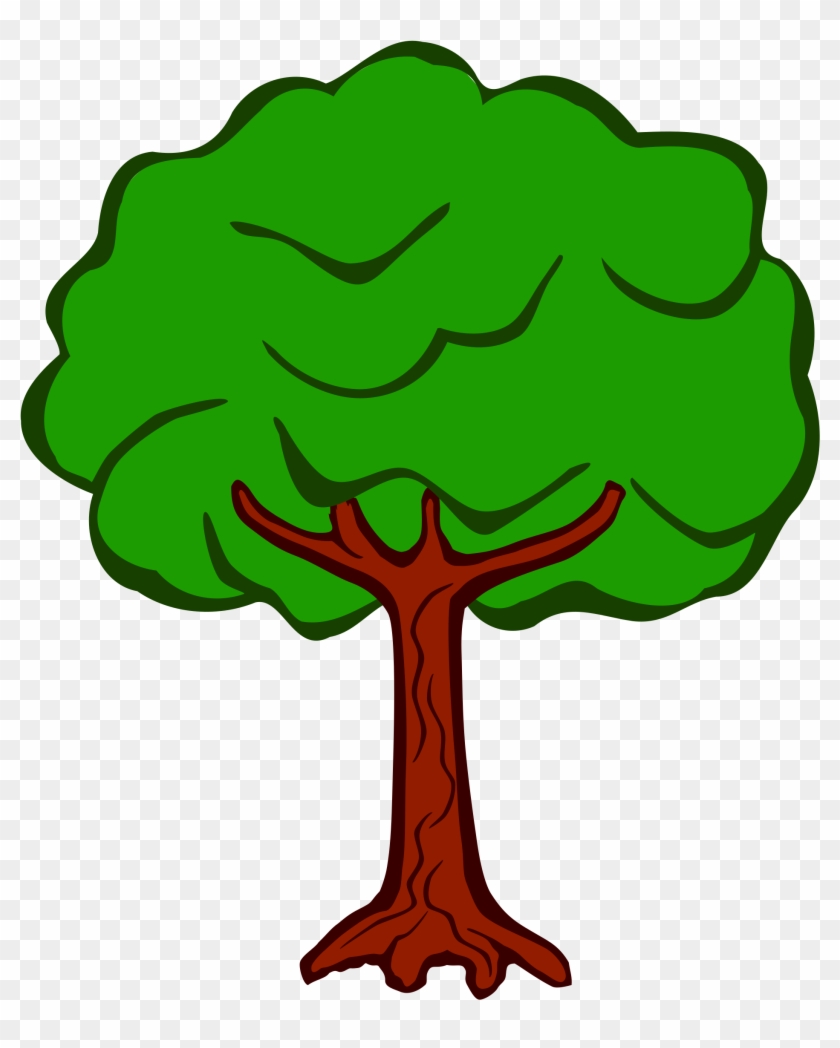 Foto Baum - KibrisPDR