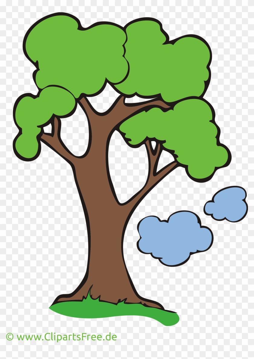 Detail Foto Baum Nomer 11
