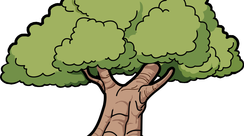 Detail Foto Baum Nomer 9