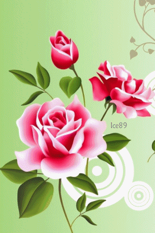 Detail Gambar Bunga Mawar Gif Nomer 39