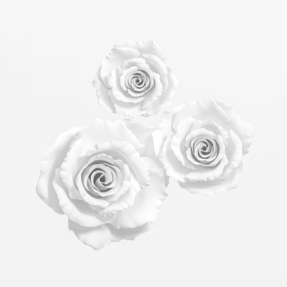 Detail Gambar Bunga Mawar Hitam Putih 3d Nomer 7