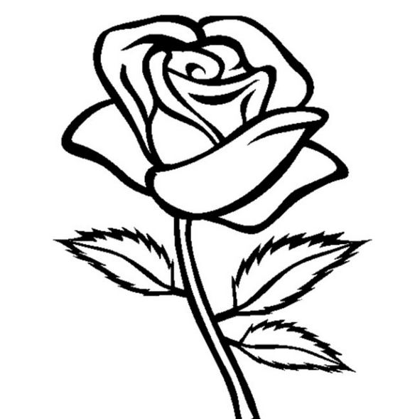 Detail Gambar Bunga Mawar Hitam Putih Simple Nomer 21