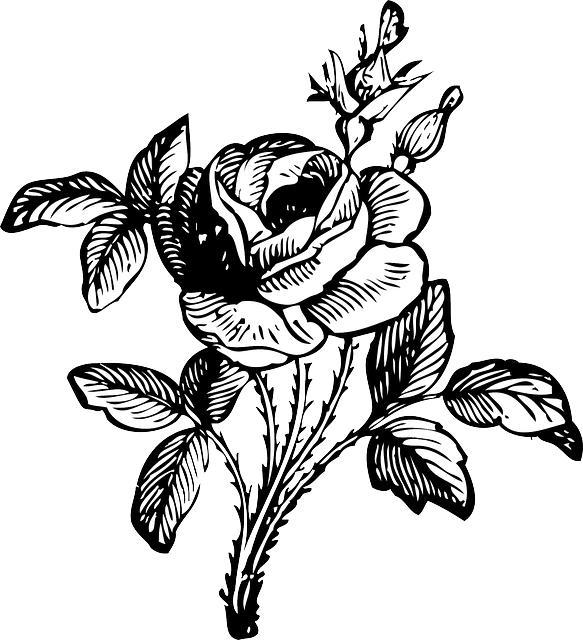 Detail Gambar Bunga Mawar Hitam Putih Simple Nomer 28