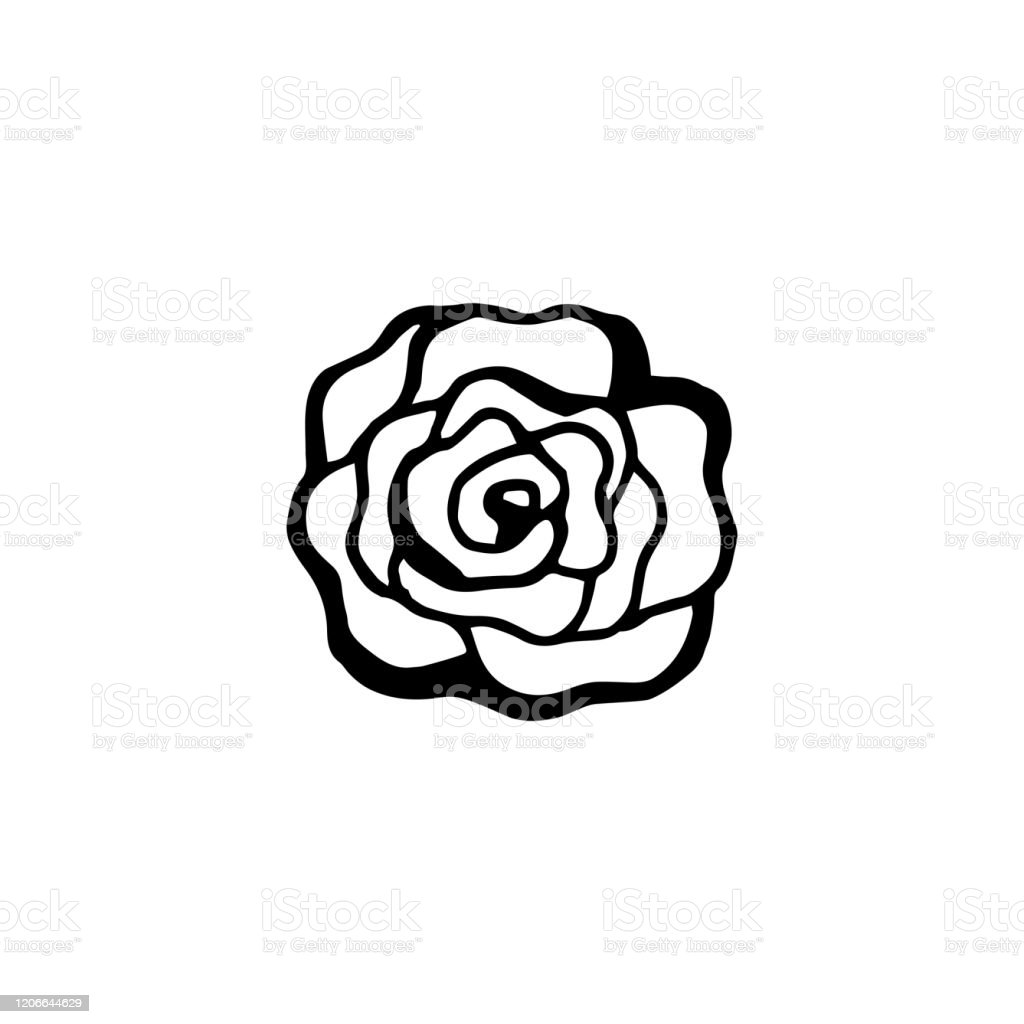 Detail Gambar Bunga Mawar Hitam Putih Simple Nomer 30