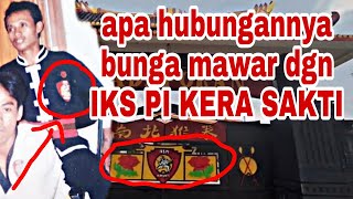 Detail Gambar Bunga Mawar Iks Pi Kera Sakti Nomer 41