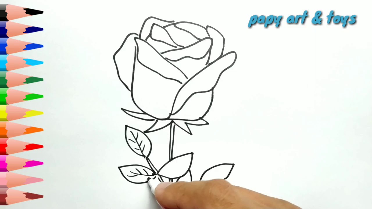 Gambar Bunga Mawar Kartun Mudah - KibrisPDR