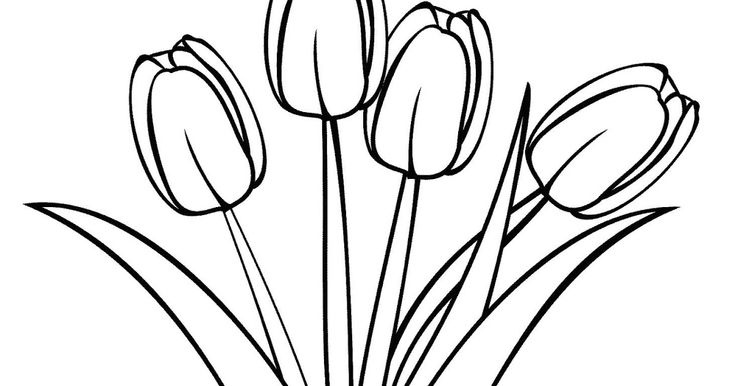 Detail Gambar Bunga Mawar Kolase Nomer 58