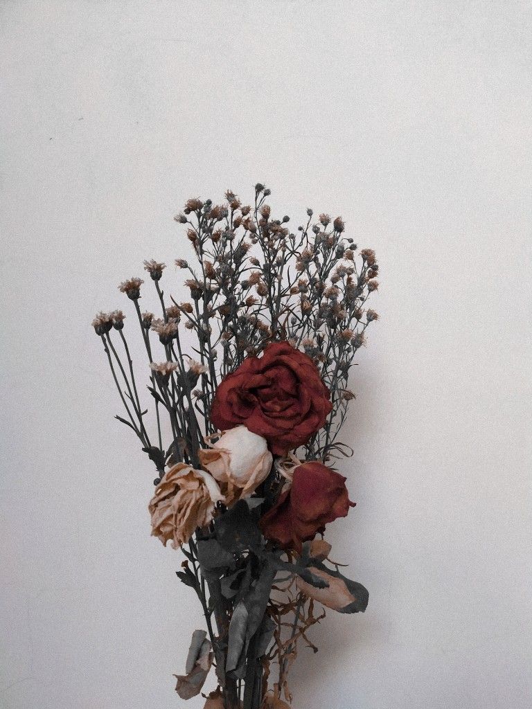 Detail Gambar Bunga Mawar Layu Tumblr Nomer 6
